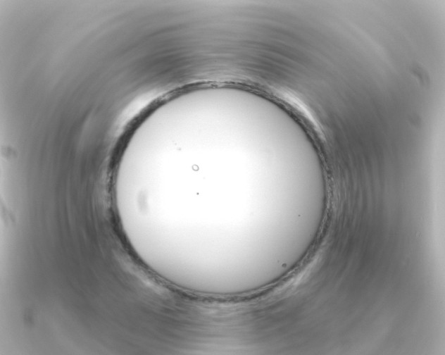 X0000091351071200708101033