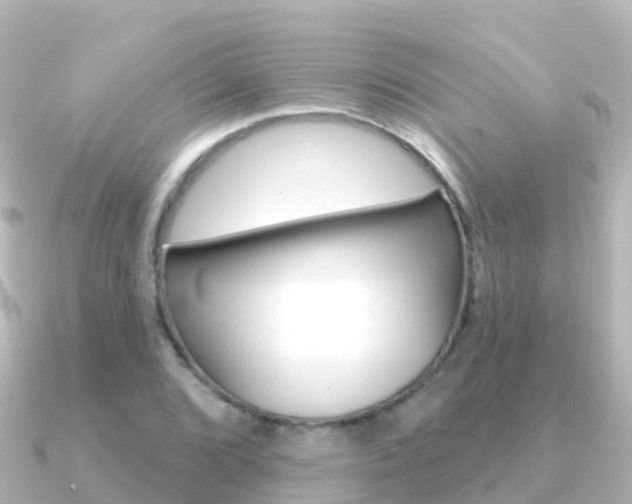 X0000091351072200708101033