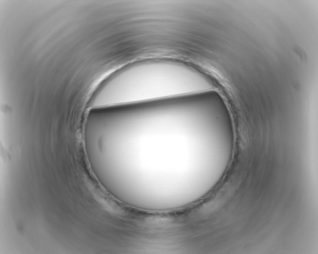 X0000091351073200708101033