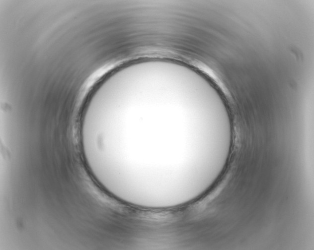 X0000091351074200708101033