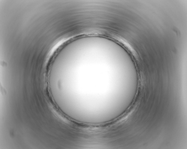 X0000091351075200708101033