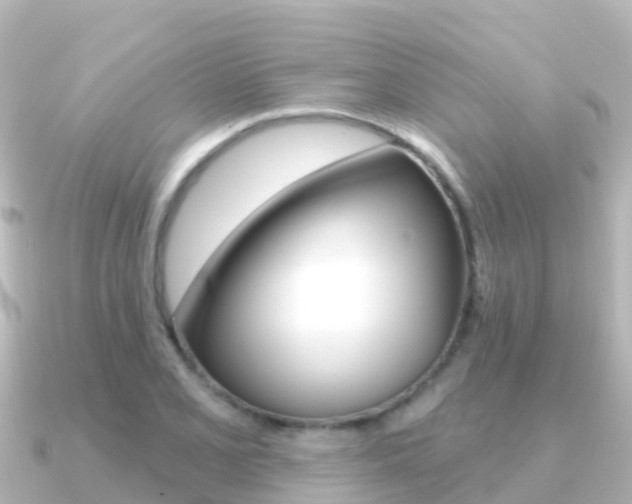 X0000091351077200708101033