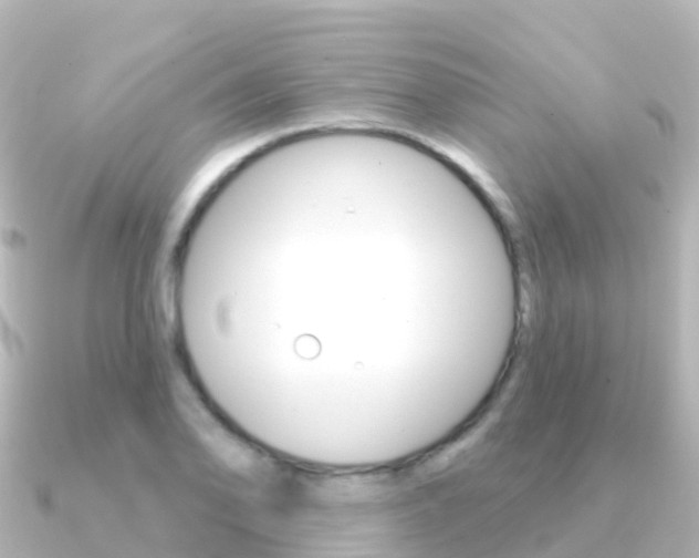 X0000091351078200708101033