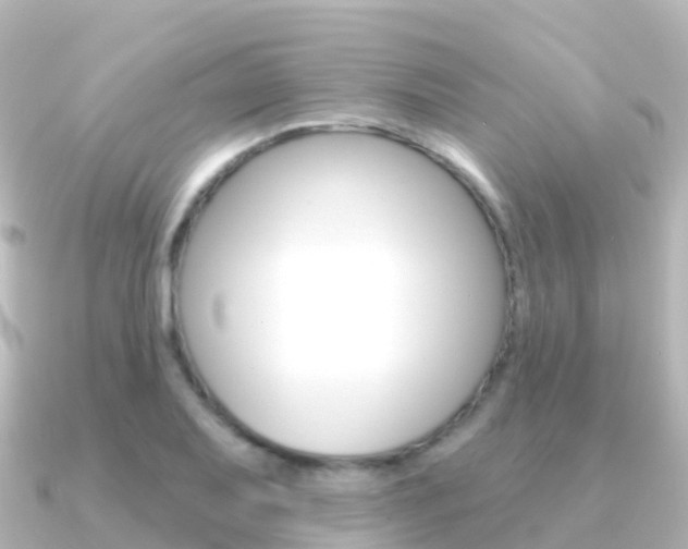 X0000091351079200708101033