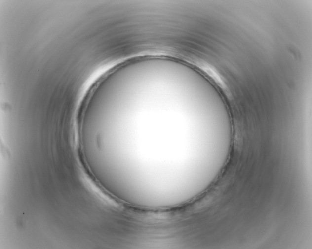 X0000091351080200708101033