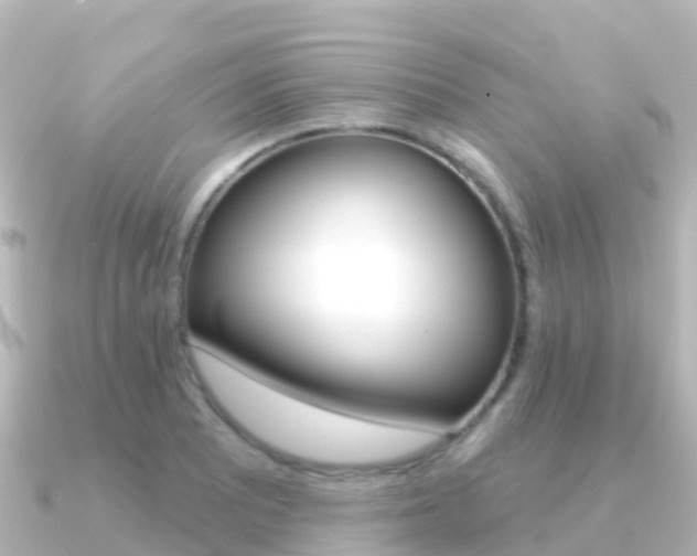 X0000091351081200708101033