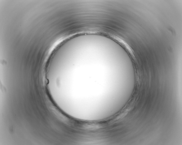 X0000091351083200708101033