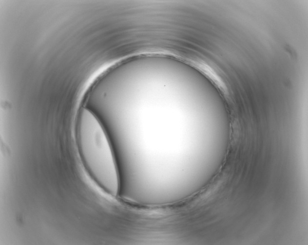 X0000091351084200708101033