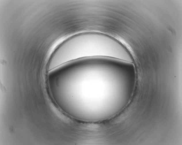 X0000091351085200708101033