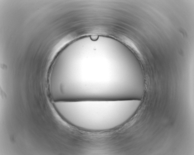 X0000091351087200708101033