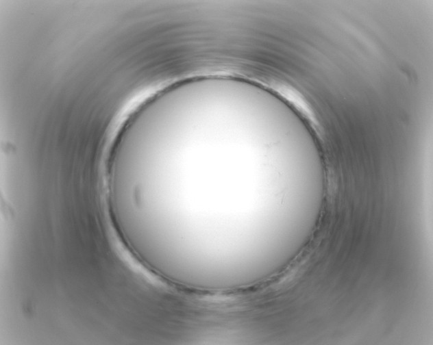 X0000091351088200708101033