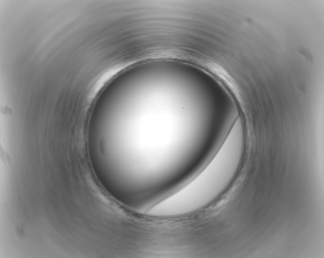 X0000091351089200708101033