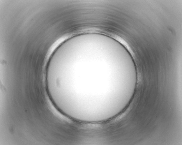X0000091351090200708101033