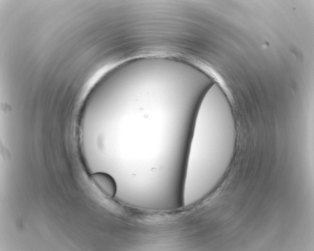 X0000091351091200708101033