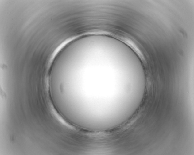 X0000091351092200708101033