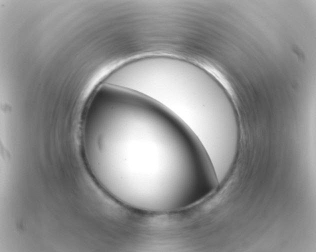 X0000091351093200708101033