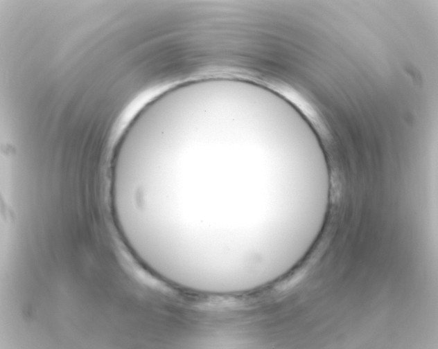 X0000091351094200708101032
