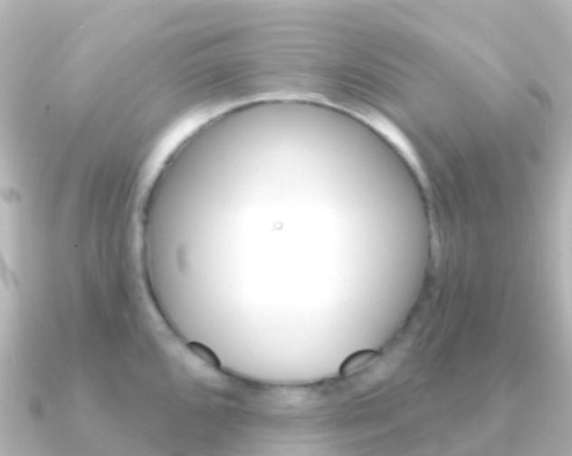 X0000091351096200708101032
