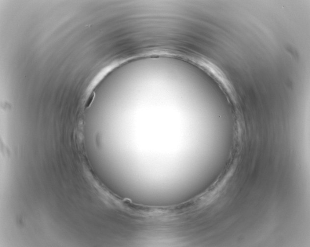 X0000091351097200708101032