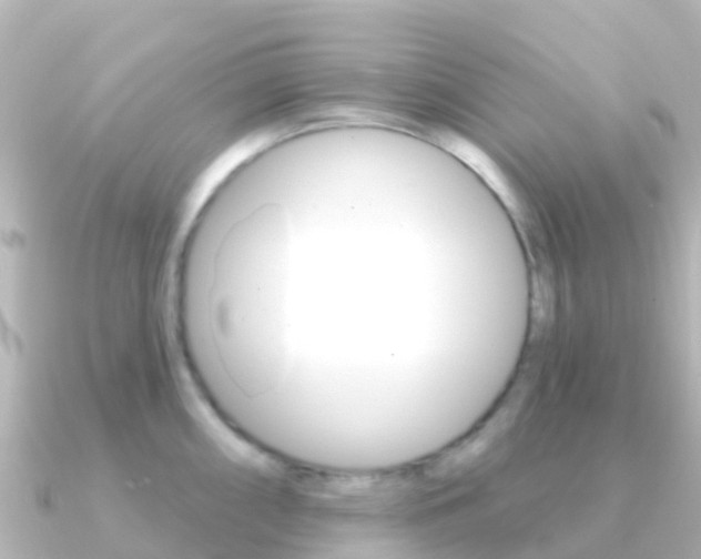 X0000091351098200708101032
