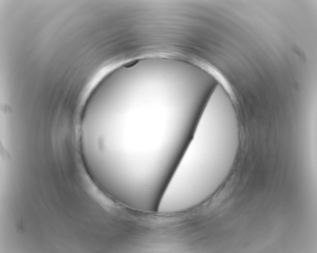X0000091351099200708101032
