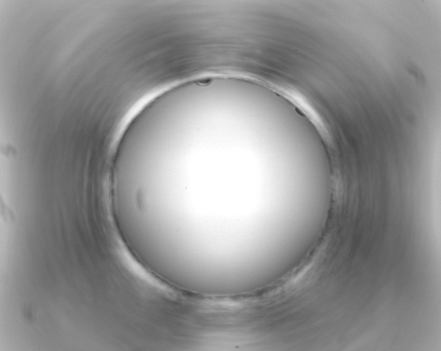 X0000091351100200708101032