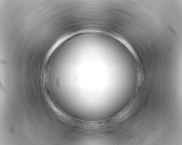 X0000091351101200708101032