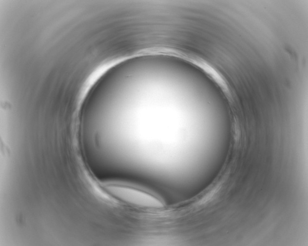X0000091351102200708101032