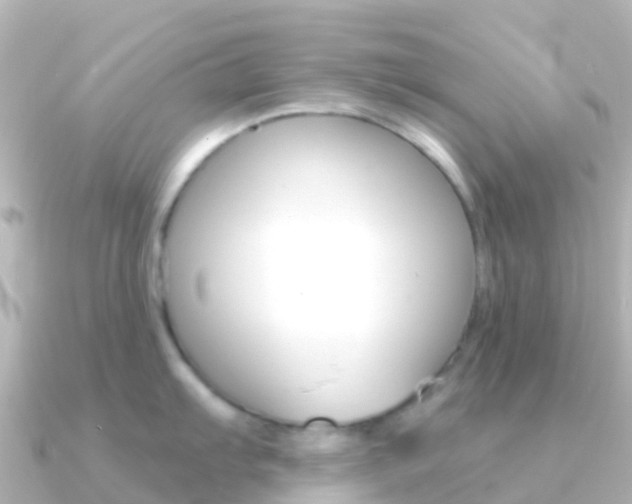 X0000091351103200708101032