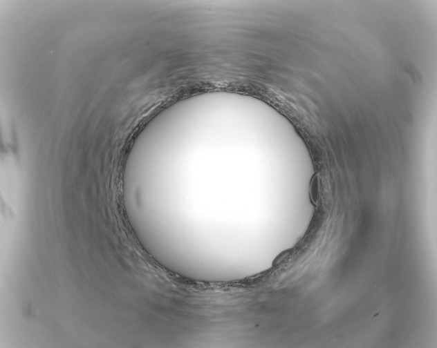X0000091351105200708101032