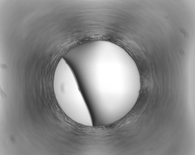 X0000091351106200708101032