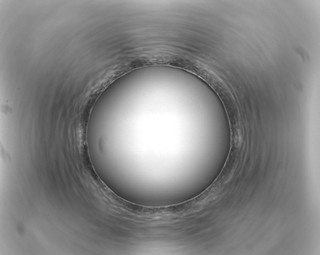 X0000091351108200708101032