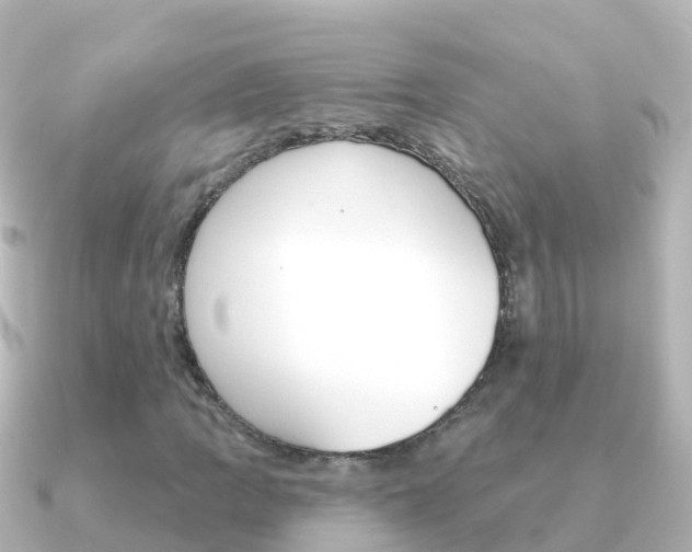X0000091351109200708101032