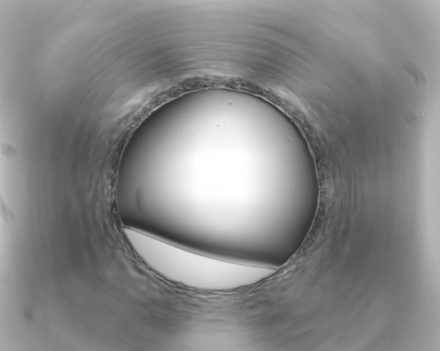 X0000091351110200708101032