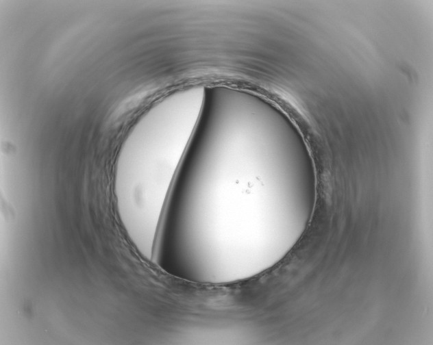 X0000091351111200708101032