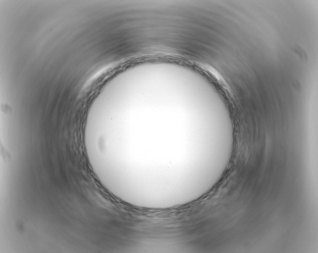 X0000091351112200708101032