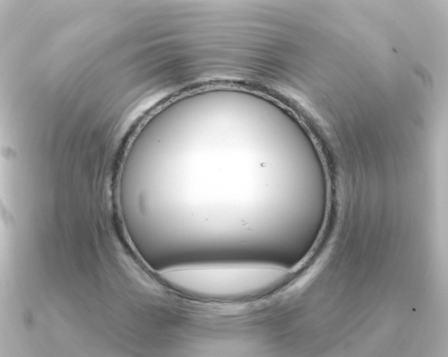 X0000091351113200708101032