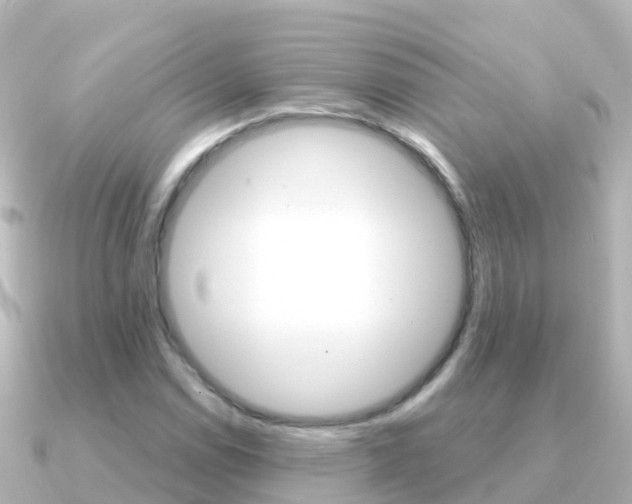 X0000091351114200708101032