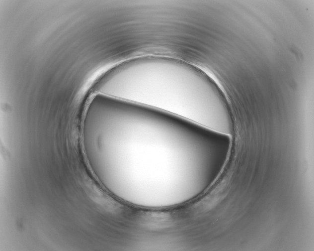 X0000091351115200708101032