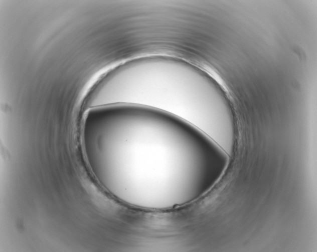 X0000091351116200708101032