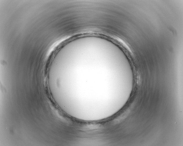 X0000091351117200708101032