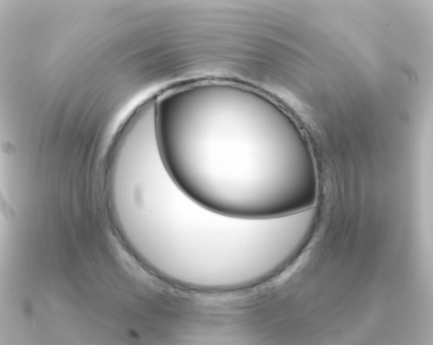 X0000091351118200708101032