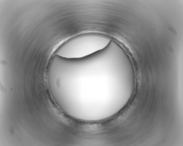 X0000091351121200708101032
