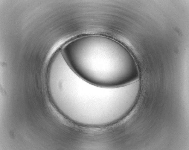 X0000091351122200708101032