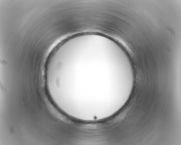 X0000091351126200708101032