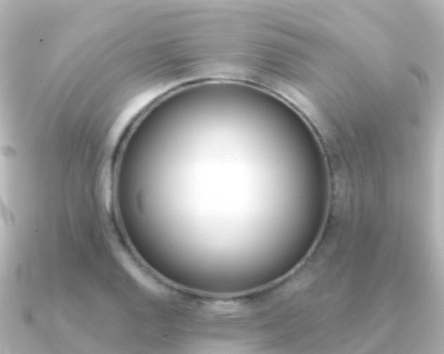 X0000091351128200708101032