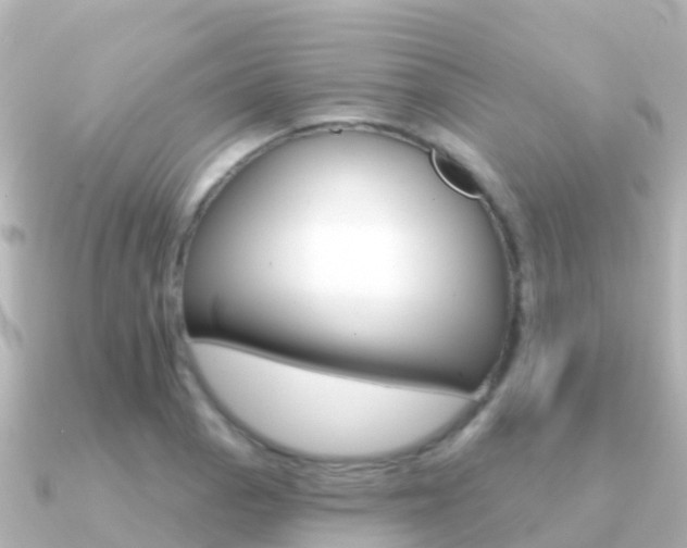 X0000091351129200708101032