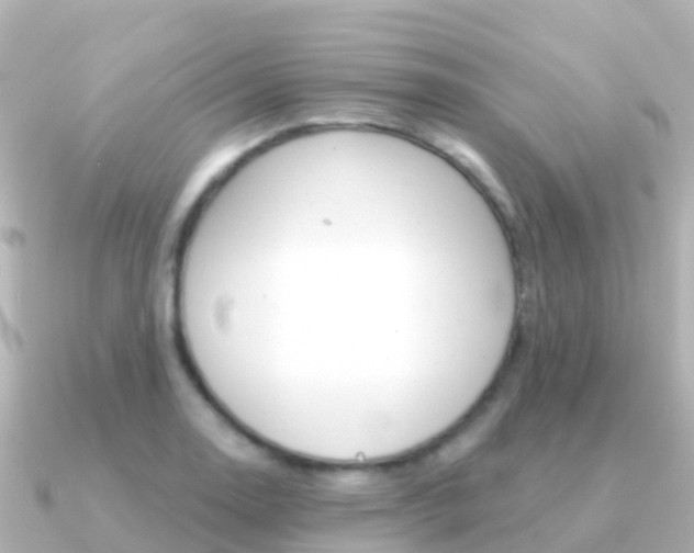 X0000091351130200708101032