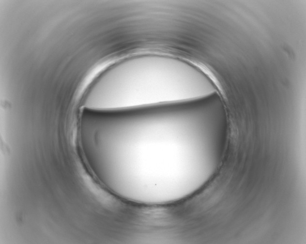 X0000091351131200708101032