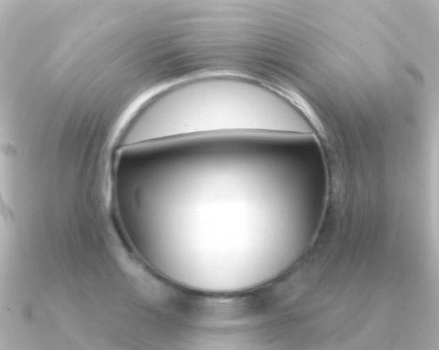 X0000091351132200708101032